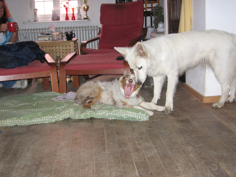 2010-10-22 Vinza en haar nieuw vriendje Skay.jpg